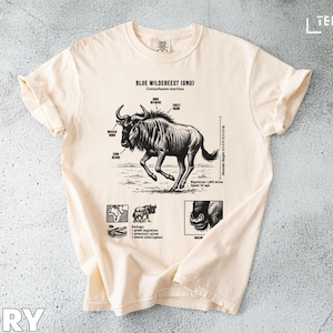 Puede incluir: Camiseta de color marfil con una ilustración detallada de un ñu azul. El gráfico incluye etiquetas anatómicas y diagramas adicionales. El diseño de la camiseta destaca las características y la biología del animal. La altura del hombro es de 1,3-1,5 m.