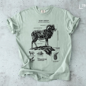 Könnte beinhalten: Hellgrünes T-Shirt mit einer schwarz-weißen Illustration eines Soay-Schafs, versehen mit anatomischen Beschriftungen und dem Text "SOAY SHEEP Ovis aries (Primitive Breed)". Das Shirt hat einen Rundhalsausschnitt und kurze Ärmel.