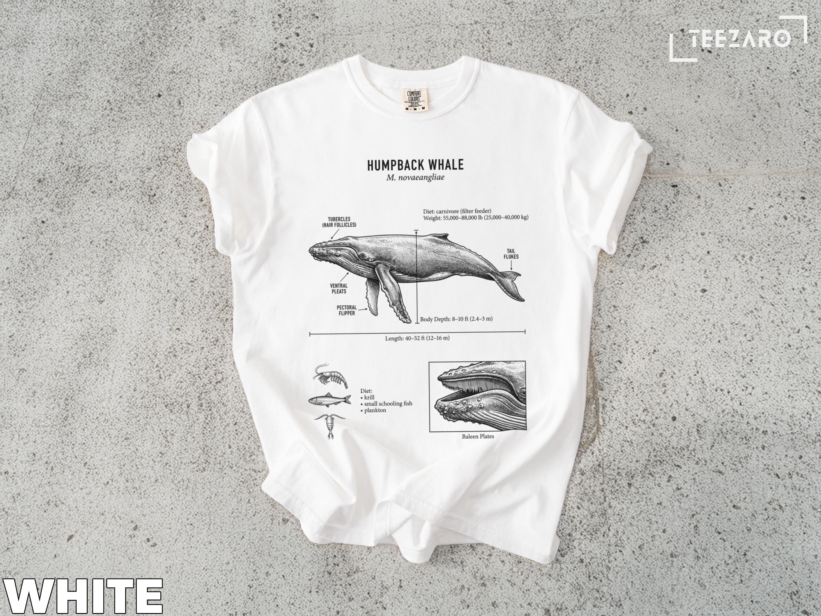 Humpback Whale T-shirt: Scientific Illustration, Marine Biology