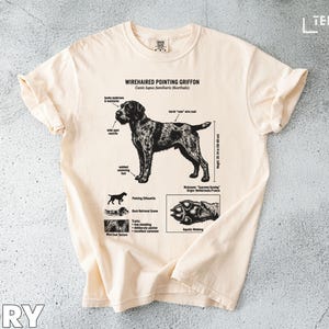 Pode incluir: Camiseta marfim com uma ilustração detalhada de um cão Grifo de Pelo Duro. O gráfico inclui detalhes anatómicos, uma pegada e o texto "WIREHAIRED POINTING GRIFFON". A altura do cão é de 61-66 cm.