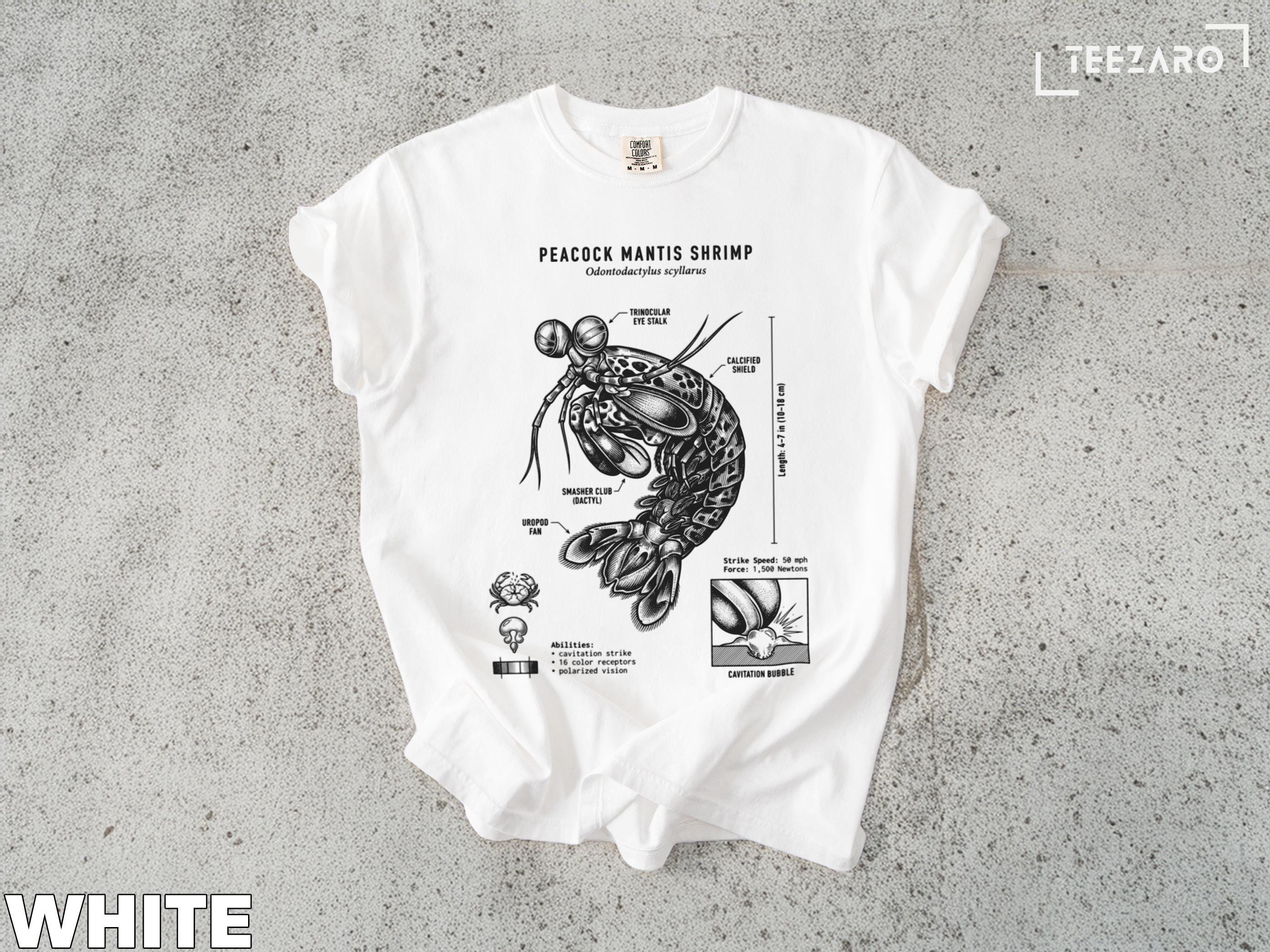 Peacock Mantis Shrimp T-shirt: Detailed Anatomy, Strong Punch