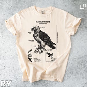 Skäggagam T-shirt: Ossifrage, Benkrossare, Rovfågelgrafik