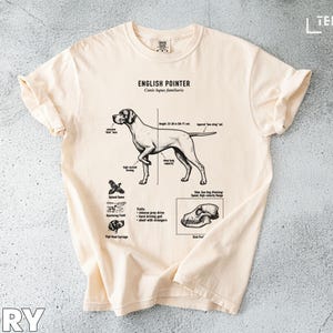 Pode incluir: Camiseta marfim com uma ilustração detalhada de um cão English Pointer, com detalhes anatômicos e o texto "ENGLISH POINTER". O design inclui diagramas das características e traços do cão. A camiseta é feita de material macio.