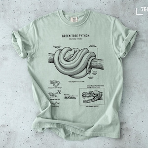 Peut inclure: T-shirt vert clair avec une illustration détaillée d'un python vert arboricole enroulé autour d'une branche, avec des annotations scientifiques. Le texte "GREEN TREE PYTHON" et "Morelia viridis" est inclus.
