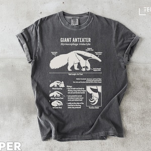 Może przedstawiać: Ciemnoszara koszulka z szczegółowym diagramem mrówkojada olbrzymiego, w tym jego anatomii i siedliska. Tekst "GIANT ANTEATER Myrmecophaga tridactyla" jest wydrukowany u góry. Koszulka leży płasko na jasnoszarej powierzchni.