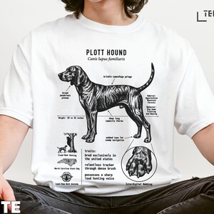 Plott Hound anatomy with text labels describing coat, ears, height, chest, habitat, and hunting traits.