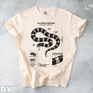 Puede incluir: Camiseta de color marfil con una ilustración detallada de una serpiente rey de California. El gráfico incluye etiquetas anatómicas y medidas en cm. El texto "CALIFORNIA KINGSNAKE" está impreso encima de la imagen de la serpiente.