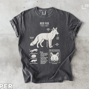 Puede incluir: Camiseta gris oscuro con un diagrama blanco de un zorro rojo, etiquetado como "RED FOX Vulpes vulpes". El diagrama incluye detalles anatómicos y un detalle de la cara del zorro. La camiseta tiene mangas enrolladas y cuello redondo.