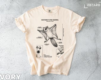 アメリカオポッサムの頭蓋骨レプリカ（博物館品質） - Etsy 日本