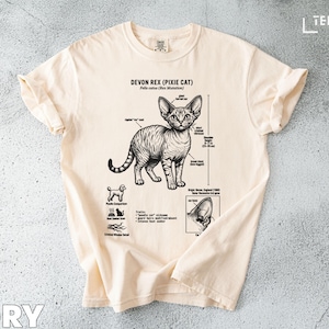 Może przedstawiać: Kremowa koszulka z szczegółową ilustracją kota Devon Rex, z napisem "Pixie Cat". Grafika zawiera szczegóły anatomiczne i tekst "Devon Rex (Pixie Cat)". Koszulka jest wykonana z miękkiego materiału.