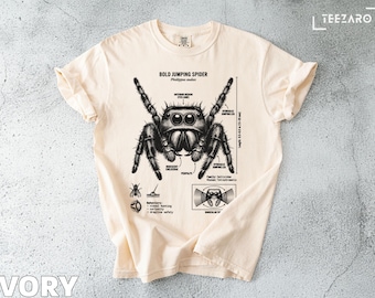 Bold Jumping Spider T-Shirt: Detailed Illustration, Arachnid, Scientific