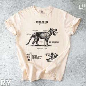 Op de afbeelding: Ivoor t-shirt met een gedetailleerde illustratie van een Thylacine, anatomische labels en afmetingen. De tekst luidt "THYLACINE T. cynocephalus". De lengte van het shirt is 1-1,2 meter.