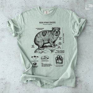 Puede incluir: Camiseta verde claro con una ilustración detallada de una damán de las rocas (Dassie). El gráfico incluye diagramas y texto científicos, con las palabras "ROCK HYRAX (DASSIE)" en la parte superior. La camiseta es de material suave.