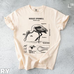May include: Ivory t-shirt with a detailed illustration of a Roseate Spoonbill, including anatomical labels and the scientific name Platalea ajaja. The design features a diagram of the bird's features and a height measurement of 66-89 cm.
