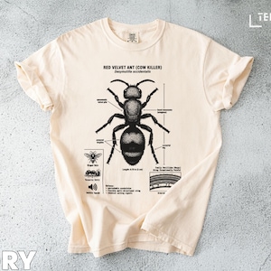May include: Ivory-colored t-shirt featuring a detailed illustration of a Red Velvet Ant (Cow Killer). The graphic includes labeled anatomical details and a diagram. The shirt is made of a soft material.