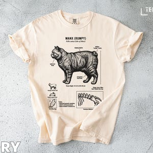 Puede incluir: Camiseta de color marfil con una ilustración detallada de un gato Manx, etiquetada con características anatómicas y el texto "MANX (RUMPY)". La camiseta incluye diagramas y texto sobre las características y el origen del gato. La altura de la camiseta es de 25-30 cm.