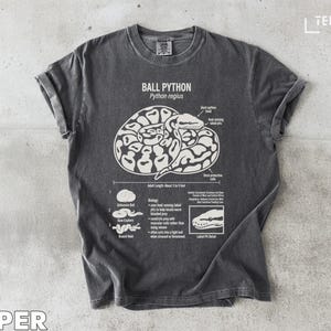 May include: Dark gray t-shirt with a white graphic of a coiled ball python and labeled anatomical details. The text "BALL PYTHON Python regius" is above the graphic. The shirt is made of a soft material.
