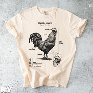 Puede incluir: Camiseta de color marfil con una ilustración detallada en blanco y negro de un gallo, etiquetada como "Domestic Rooster". El diseño incluye detalles anatómicos y una imagen más pequeña de la cabeza del gallo. La altura de la camiseta es de 50-60 cm.