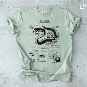 May include: A light green t-shirt featuring a detailed black and white illustration of a ribbon eel, with scientific annotations and the text "RIBBON EEL Rhinomuraena quaesita". The shirt also includes diagrams and a scale.