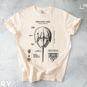Puede incluir: Camiseta color marfil con un diagrama detallado de un cangrejo herradura, incluyendo etiquetas anatómicas y medidas. El texto "HORSESHOE CRAB Limulus polyphemus" está impreso en la parte superior. La longitud total es de 30-48 cm.
