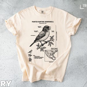 Puede incluir: Camiseta color marfil con una ilustración detallada de un escribano pintado (Nonpareil) posado en una rama. El diseño incluye etiquetas anatómicas, un mapa y el texto "Painted Bunting (Nonpareil)".
