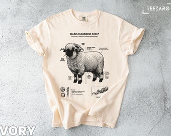 Walliser Schwarznase Schaf T-Shirt: Schweizer Rasse, gehörnt, Bauernhof, Wollknäuel
