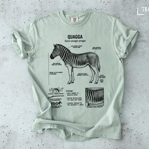 May include: A pale green t-shirt with a detailed illustration of a Quagga, an extinct zebra species. The design includes scientific annotations, diagrams, and the text "QUAGGA Equus quagga quagga".