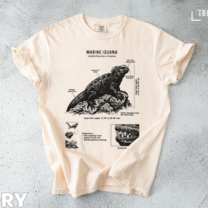 Peut inclure: T-shirt ivoire avec une illustration détaillée d'un iguane marin. Le dessin comprend des détails anatomiques, des mesures en cm et le texte "MARINE IGUANA". Le t-shirt a des manches retroussées.