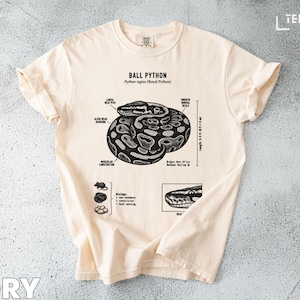 Puede incluir: Camiseta de color marfil con un diagrama detallado de una pitón real, que incluye etiquetas anatómicas y una escala que indica una longitud de 0,9-1,5 m. La camiseta también incluye el texto "BALL PYTHON" y "Python regius (Royal Python)."