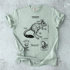 以下が含まれることがあります： 薄い緑色のTシャツ。白黒のイラストで、スプリングヘア（Springhare）の解剖学的特徴と「SPRINGHARE Pedetes capensis」のテキストが描かれています。体長は35〜43cmです。