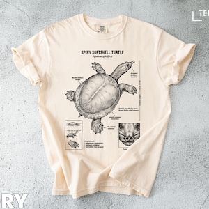 May include: Ivory-colored t-shirt featuring a detailed illustration of a Spiny Softshell Turtle, with anatomical diagrams and the text "Spiny Softshell Turtle". The shirt includes additional illustrations and text, with the brand name "Teezaro" visible.