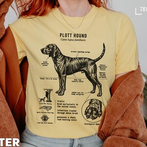 Diagram of Plott Hound anatomy and traits with text labels.