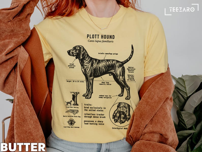 Diagram of Plott Hound anatomy and traits with text labels.