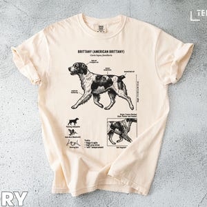 May include: Ivory-colored t-shirt featuring a detailed illustration of a Brittany dog breed. The design includes anatomical diagrams and text, with the words "Brittany (American Brittany)" prominently displayed. The shirt has rolled-up sleeves and a relaxed fit.