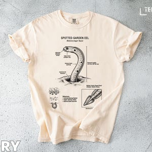 Op de afbeelding: Ivoor T-shirt met een gedetailleerde illustratie van een gevlekte tuinaal, met gelabelde anatomische kenmerken en de tekst "Spotted Garden Eel Heteroconger hassi". De geschatte lengte van de paling is 30-40 cm.