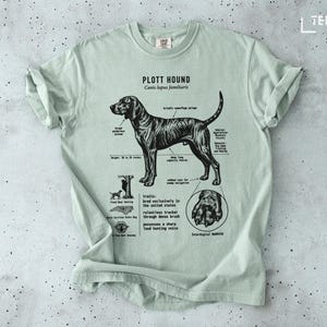 Plott Hound dog breed information diagram with anatomical details.