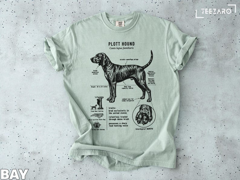 Plott Hound dog breed information diagram with anatomical details.