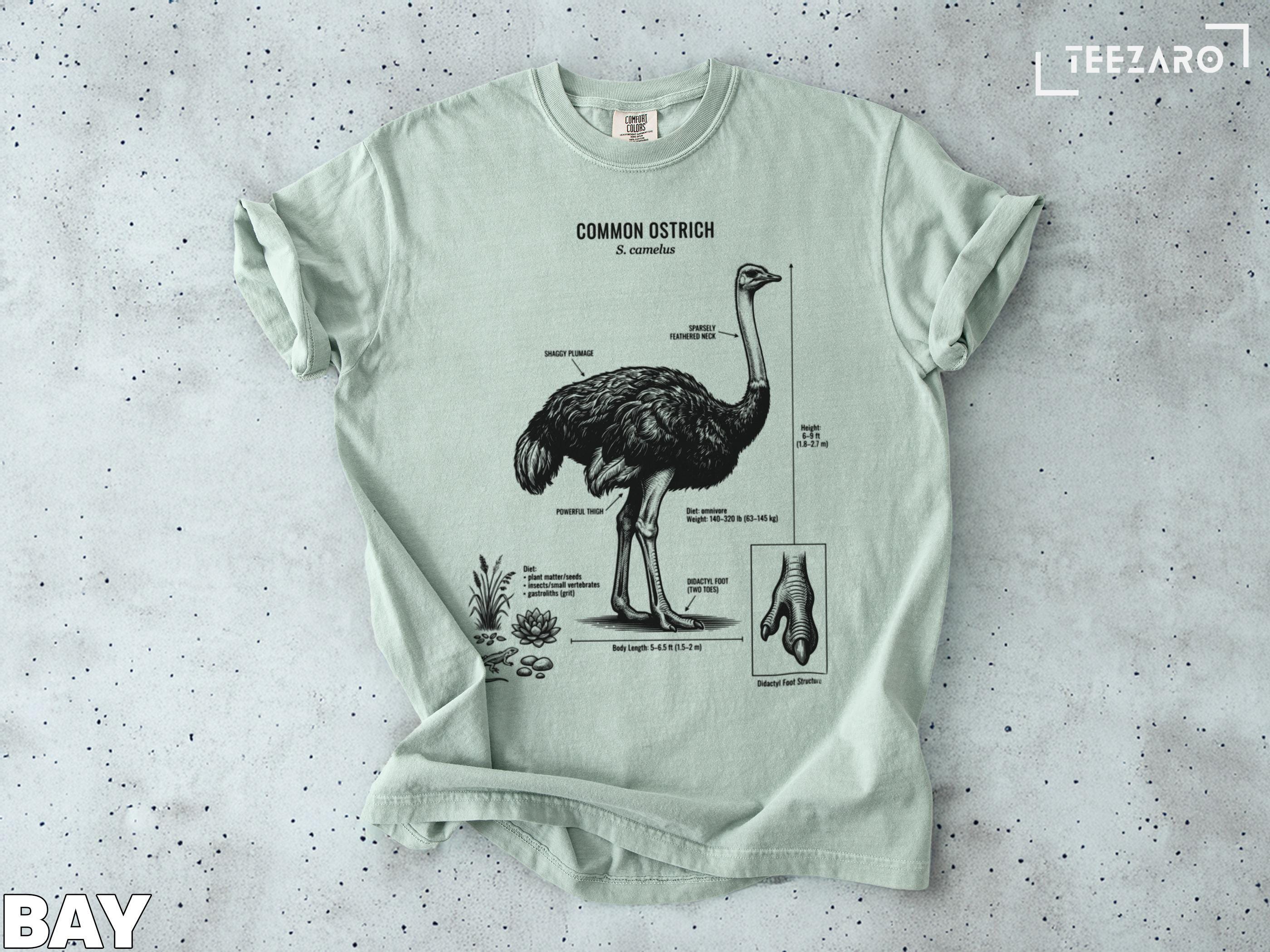 コンフォートカラーTシャツ：ダチョウの解剖学、科学的イラスト、詳細 