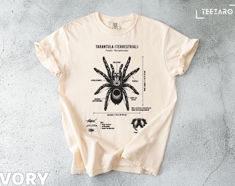 Tarantula T-Shirt: Anatomical Detail, Arachnid Graphic, Science Illustration, Comfort Colors