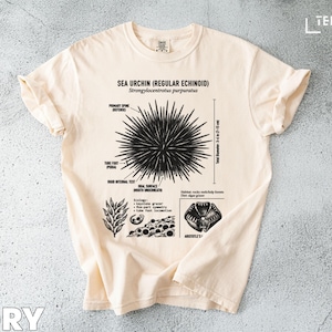 May include: Ivory-colored t-shirt featuring a detailed black and white diagram of a sea urchin, including its anatomy and habitat. The text "SEA URCHIN (REGULAR ECHINOID)" is printed at the top. The shirt's total diameter is 3-4 in (7-10 cm).