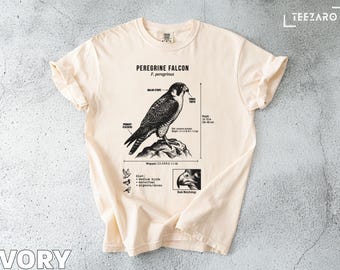 Peregrine Falcon T-Shirt: Detailed Anatomy, Bird of Prey, Comfort Colors