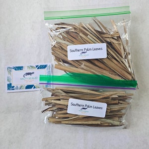 Southern Palm Leaf Litter, Isopod Leaf Litter, Dried Leaves, Organic Leaf Litter, leaves for Bioactive, Isopods, Millipedes, Vivaruims