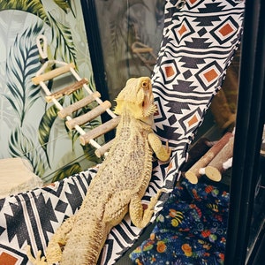 Repti Bridge. Reptile Enclosure Decor. Lizard Lounger. Reptile ramp, Car Lounger for Bearded dragons & snakes