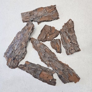 May include: A collection of six pieces of brown bark, each with a unique shape and texture. The bark is dry and has a natural, rustic look.