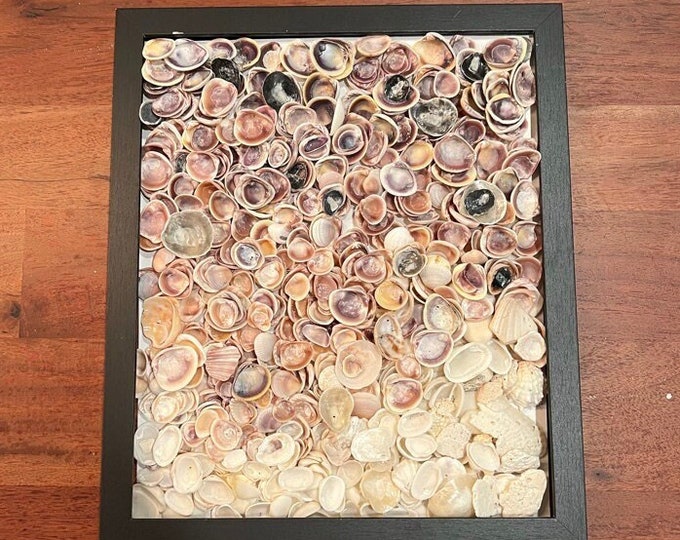 Seashell Art,  Seashell Wall Art, Shell Art Work,  Initial Seashell Art,  Seashell Decor,  Seashell Home Decor, Beach Art,  Coastal Art