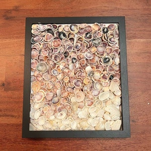 Seashell Art,  Seashell Wall Art, Shell Art Work,  Initial Seashell Art,  Seashell Decor,  Seashell Home Decor, Beach Art,  Coastal Art