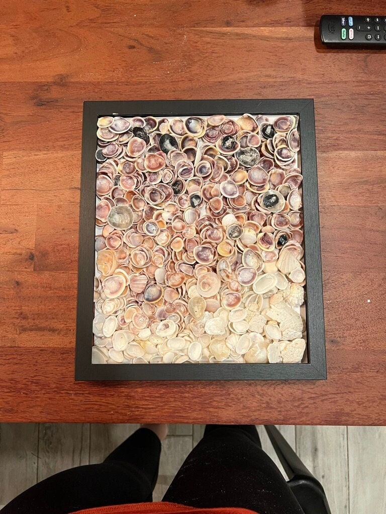 Shell Art Works Seashell Art, Seashell Wall Art, Shell Art Work, Initial Seashell Art ...