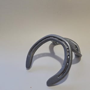 May include: A silver horseshoe shaped like a figure eight, with the two ends of the horseshoe intertwined.