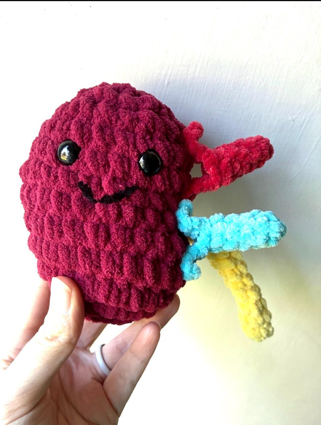 Free Crochet Kidney Pattern Kidney Anatomy Crochet Pattern - Etsy