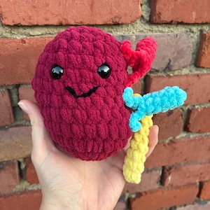 May include: A plush kidney-shaped toy made of dark red yarn with a smiling face featuring black plastic eyes. Attached to the side are smaller, textured yarn appendages in bright red, light blue, and yellow, creating a colourful anatomical design.